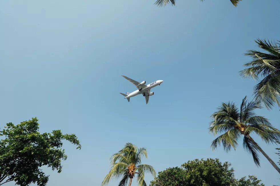 Flugzeug über Palmen